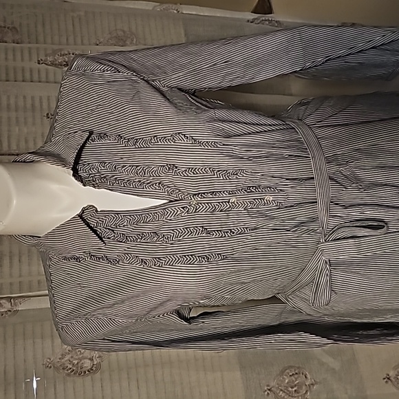 Striped Log Sleeve Shirt Dress - Picture 3 of 16